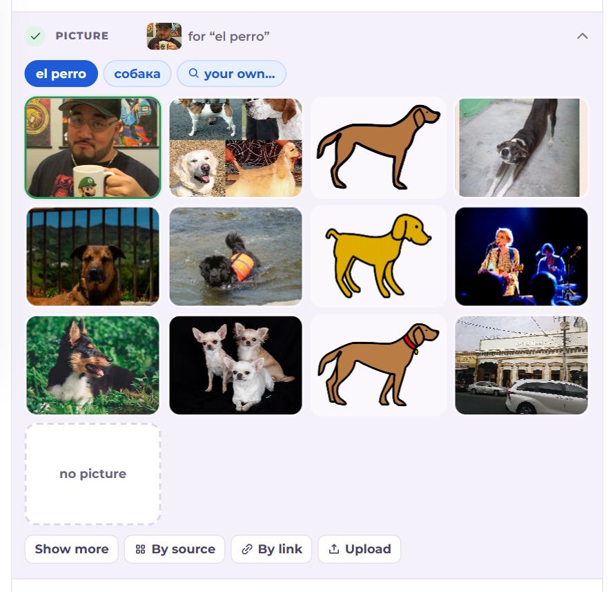 The “Picture” section