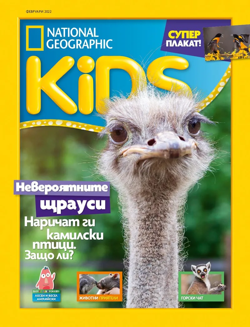 Февруари Кидс 2022