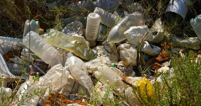 Are the Tiny Plastic Particles in Our Bodies Harmful?