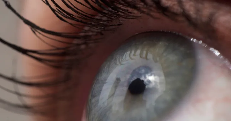 An Eye for an Eye