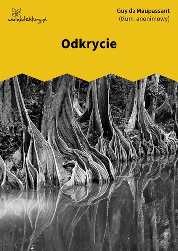 Odkrycie