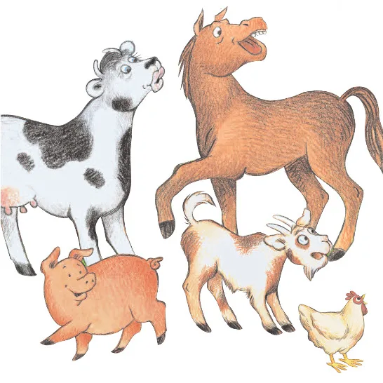 Look at the animals