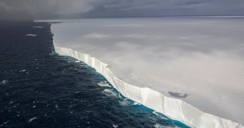 Huge Iceberg Could Threaten Penguins in the South Atlantic Ocean