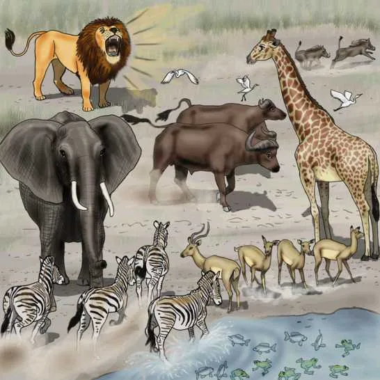 Contando gli animali
