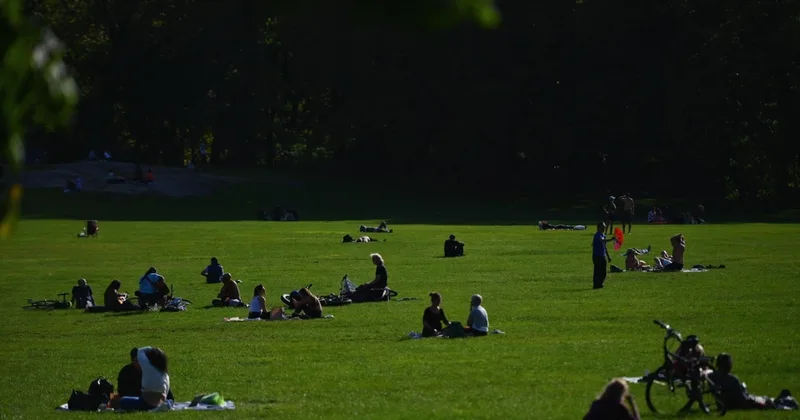 Do You Believe the 'Grass Is Always Greener'?