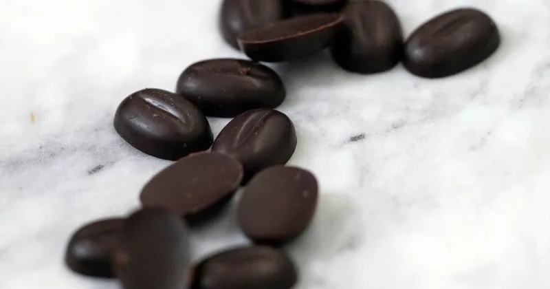 Companies Grow Cocoa Beans in Lab to Produce Chocolate