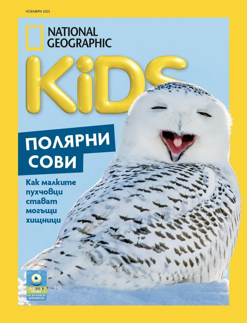 Ноември Кидс 2025