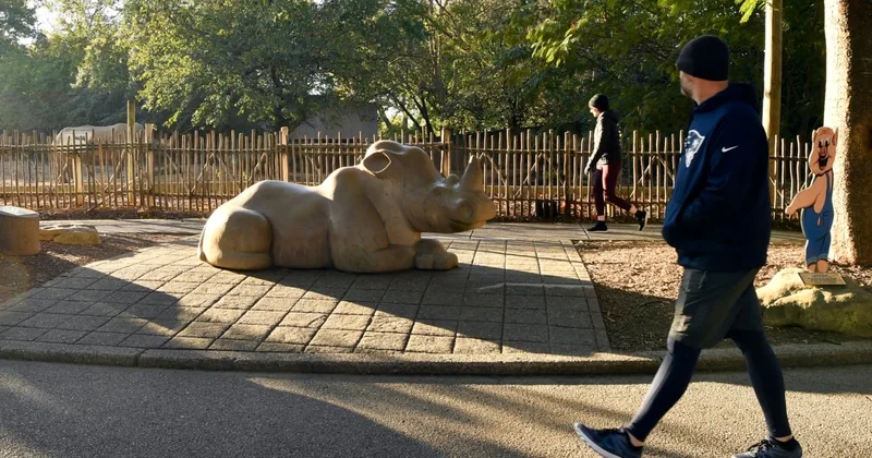 What Are the Good Effects of Walking?