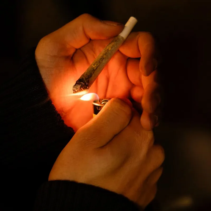 Канабис, THC и фалшиви спомени: какво показва науката