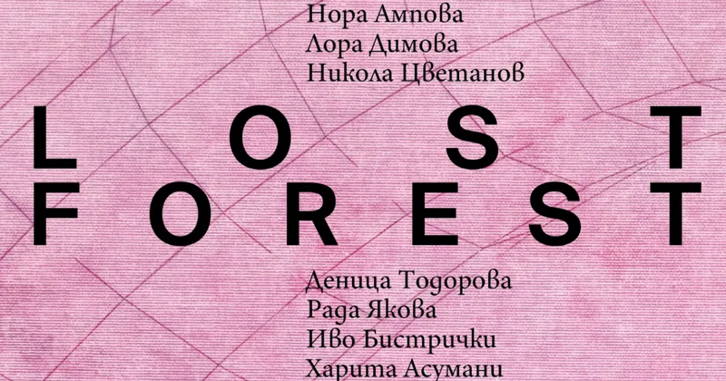 „​LOST FOREST"