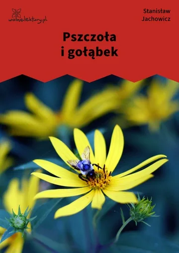 Pszczoła i gołąbek