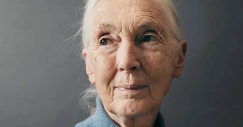 Джейн Гудол, посланик на дивата природа, почина на 91 години