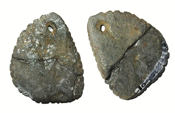 კოტეს გენეტიკა
