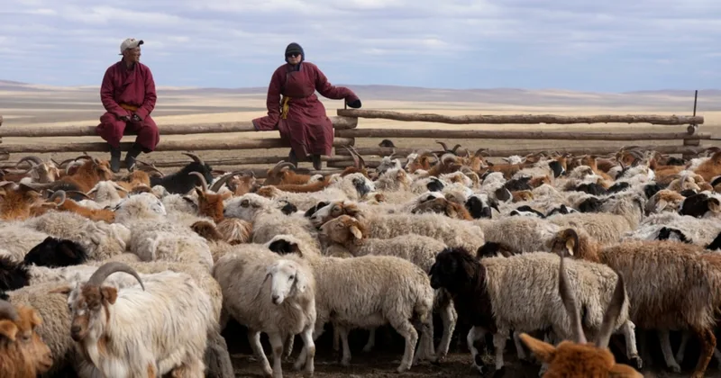 Pastoralists Modernizing to Deal With Climate Change, New Lifestyles