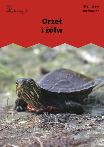 Orzeł i żółw