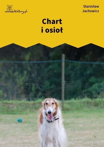 Chart i osioł