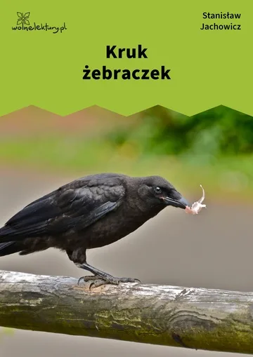 Kruk żebraczek
