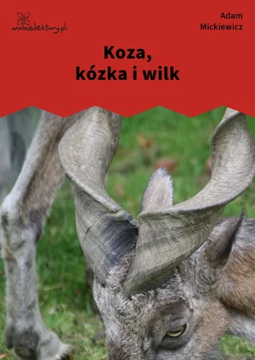 Koza, kózka i wilk