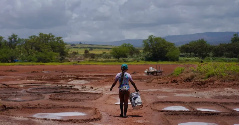 Hawaiian Salt Makers Aim to Protect Tradition