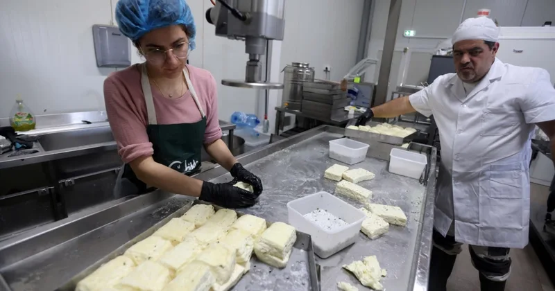 In Cyprus, Former Pilot Makes Halloumi Cheese the Old Ways