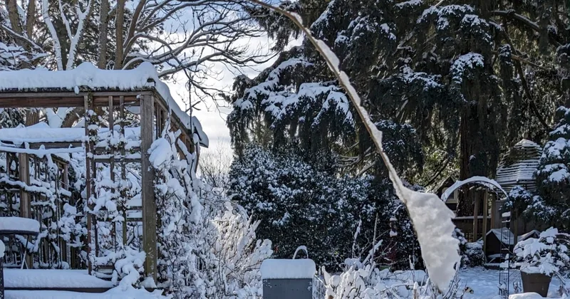 Get Ready for Spring Planting in Winter