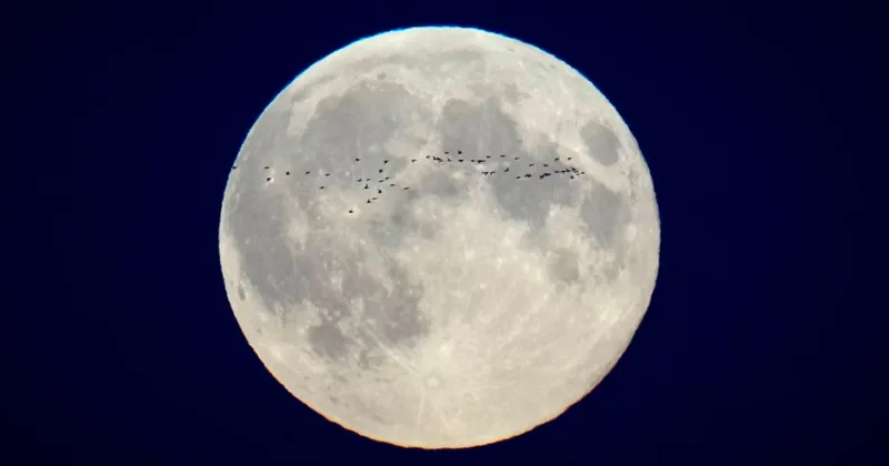 A Short History of Spacecraft Landings on the Moon