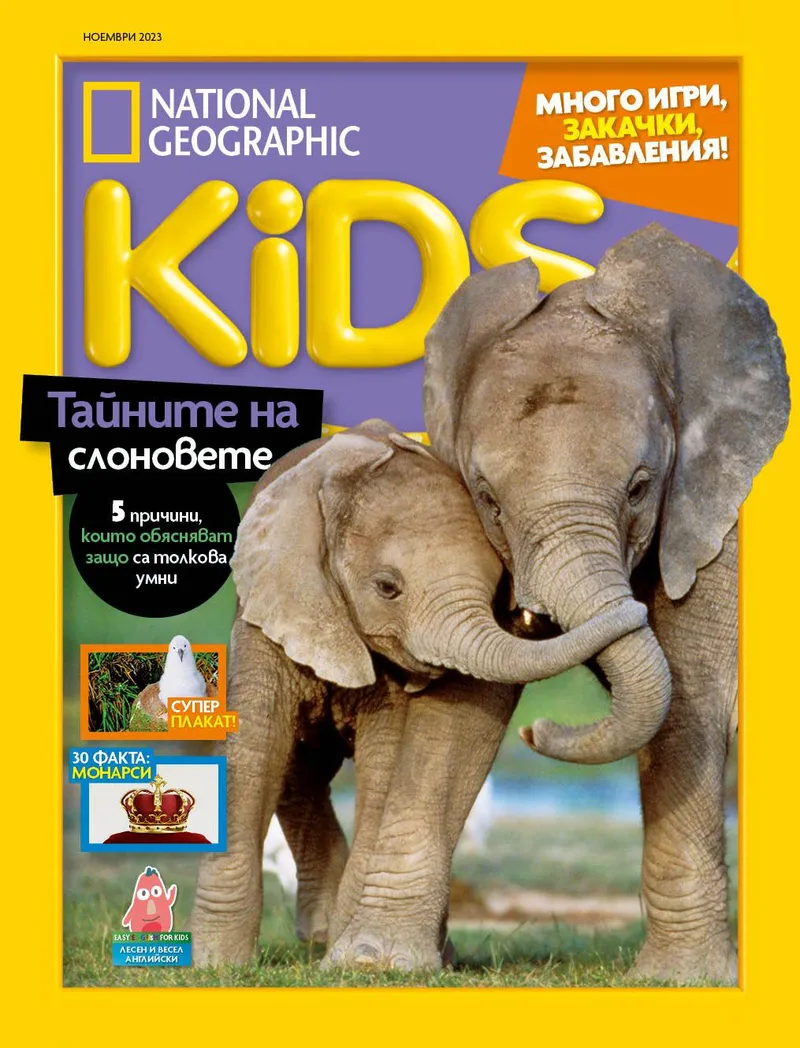 Ноември Кидс 2023