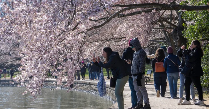 Vernal Equinox Marks Arrival of Spring