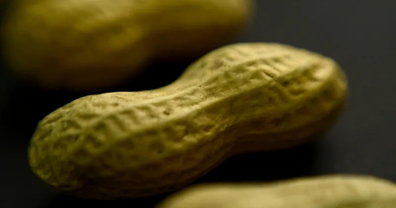US Approves Asthma Drug to Treat Food Allergies