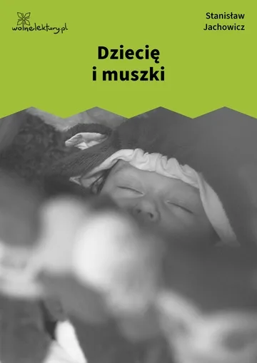 Dziecię i muszki