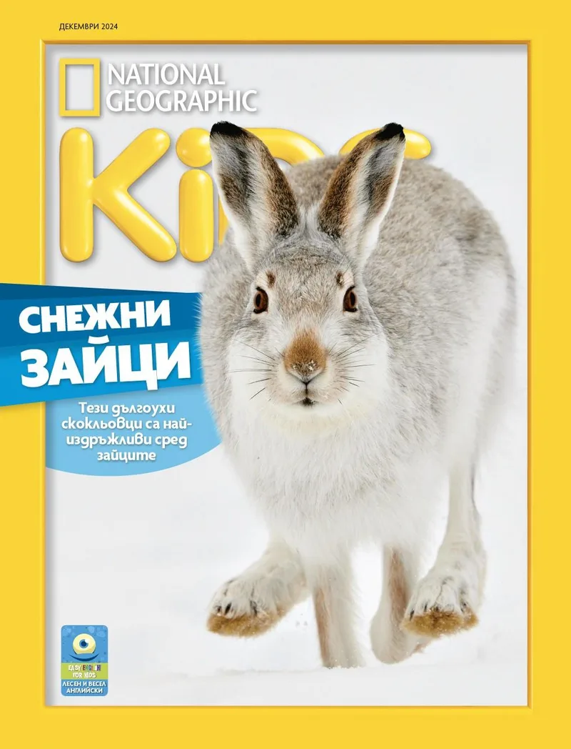Декември Кидс 2024