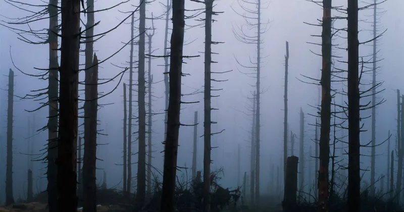 Какво е киселинен дъжд?