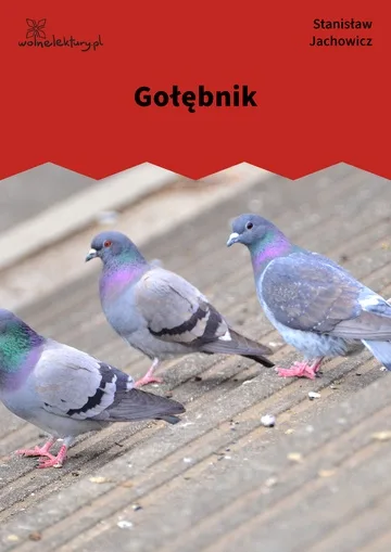 Gołębnik