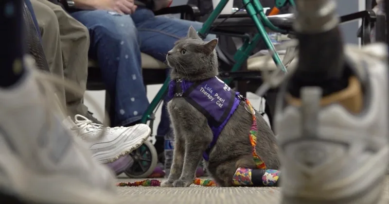 Woman, Cat Help Others through Therapy