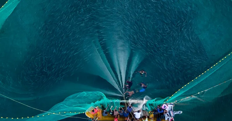 What Good Comes from 'Casting a Wide Net'?