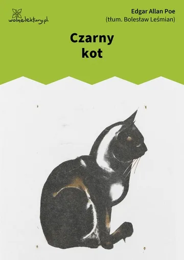 Czarny kot