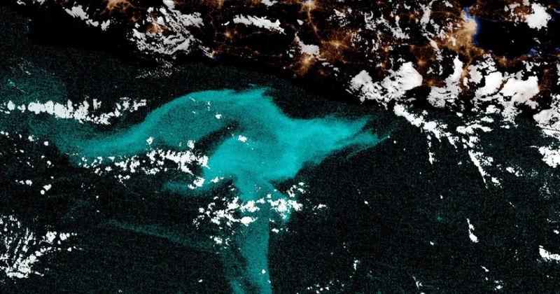 Светещите морета объркват моряците от векове. Сега науката може да има отговори