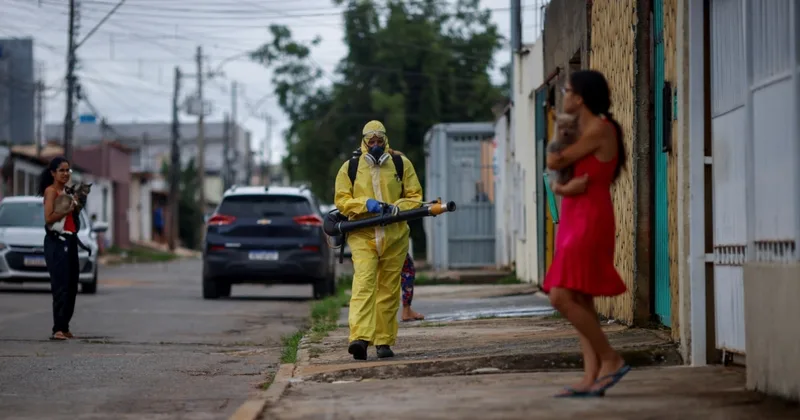 South America Dengue Increase Brings Vaccination Drive