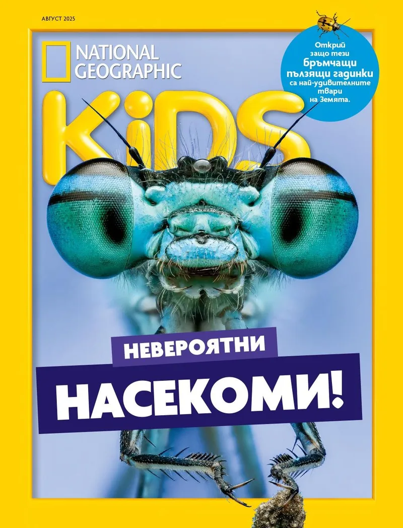 Август Кидс 2025