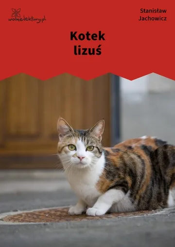 Kotek lizuś