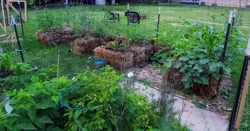 Don’t Have Soil, Try Planting in Straw Bales
