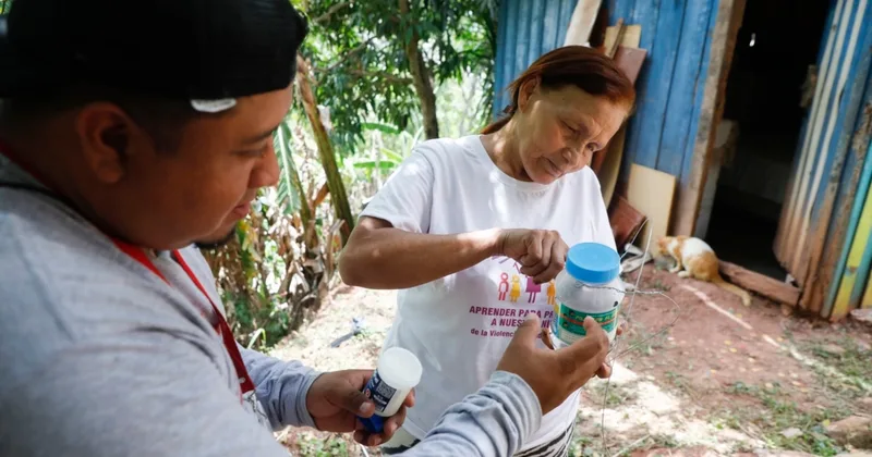 Breeding Special Mosquitoes to Fight Dengue