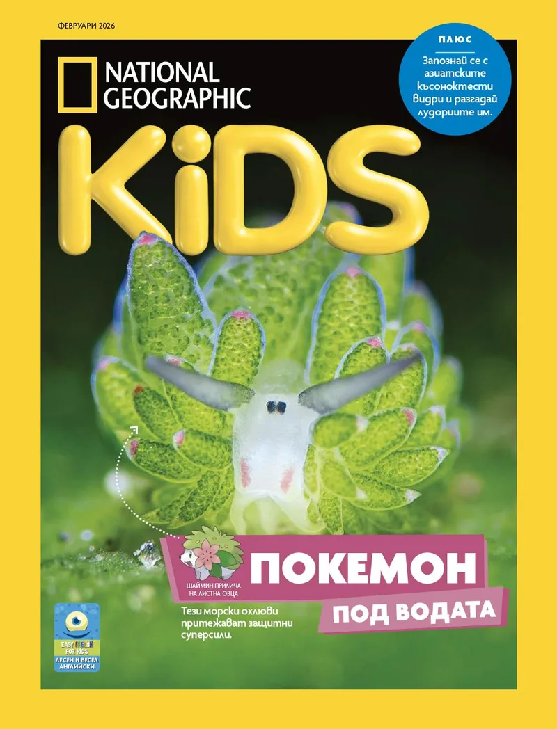 Февруари Кидс 2026