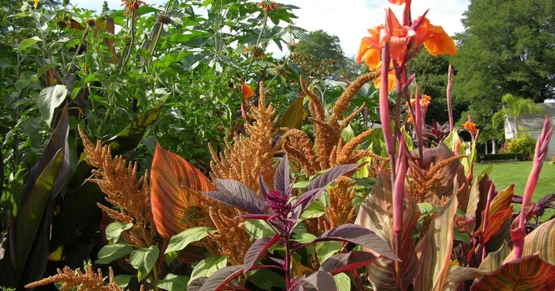 How to Keep Tropical Plants Through the Winter