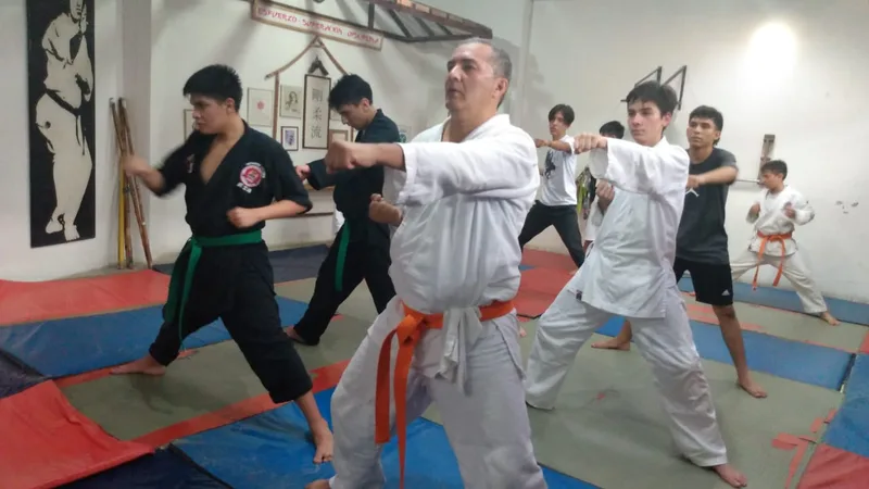 El Karate: Un camino para la no violencia en Colombia