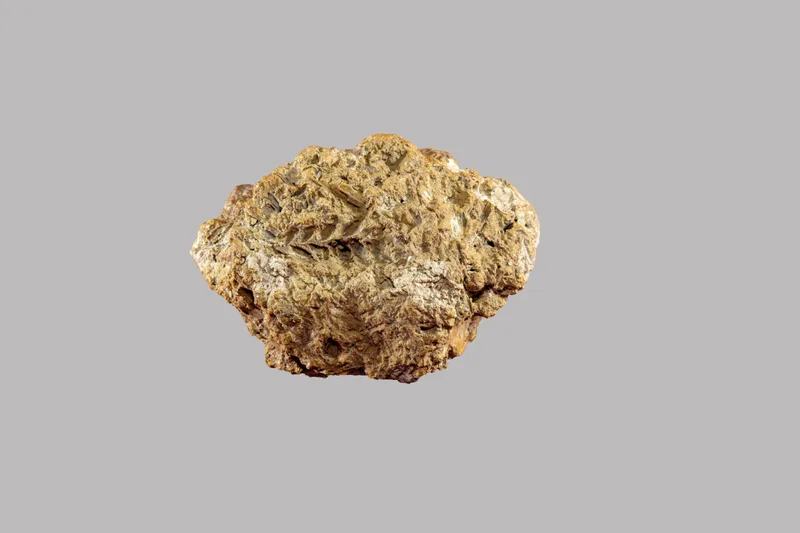 პური ჩვენი არსობისა