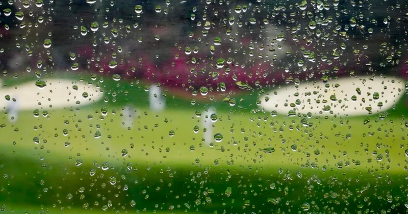 'April Showers Bring May Flowers'