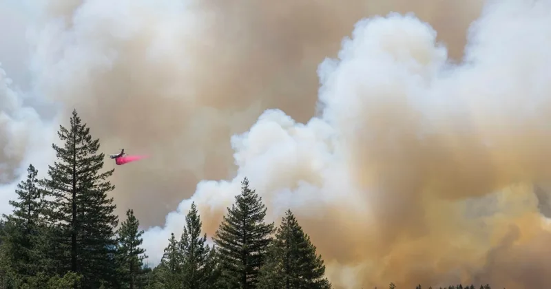 Study: Particles in Wildfire Smoke May Increase Dementia Risk
