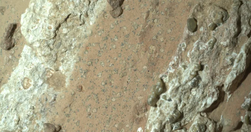 NASA Rover Captures Rock Showing Possible Signs of Microbial Life