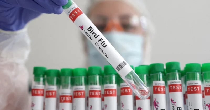 Scientists Fear Bird Flu Pandemic Coming